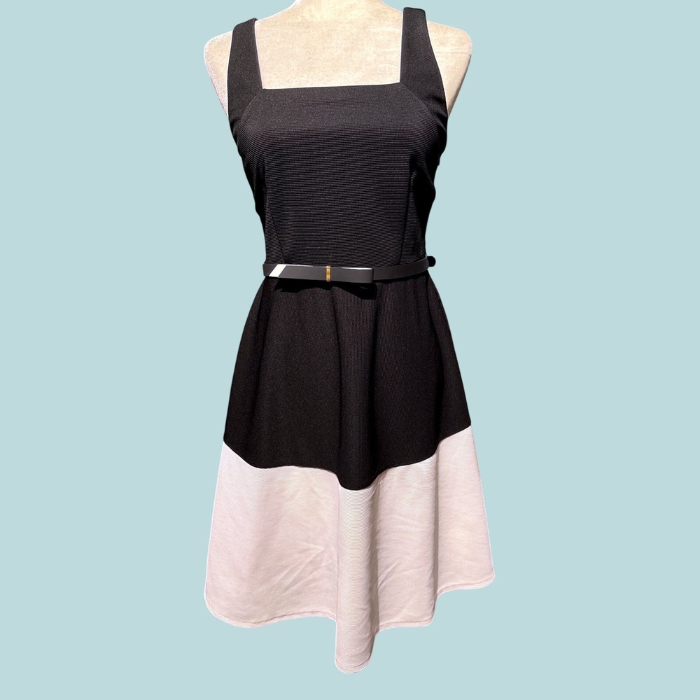 Worthington Fit and Flare Dress Size 6 Black White Colorblock Belted Gossip Girl